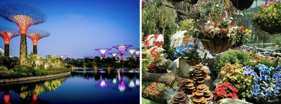 PHOTO: TripAdvisor. Gardens By The Bay