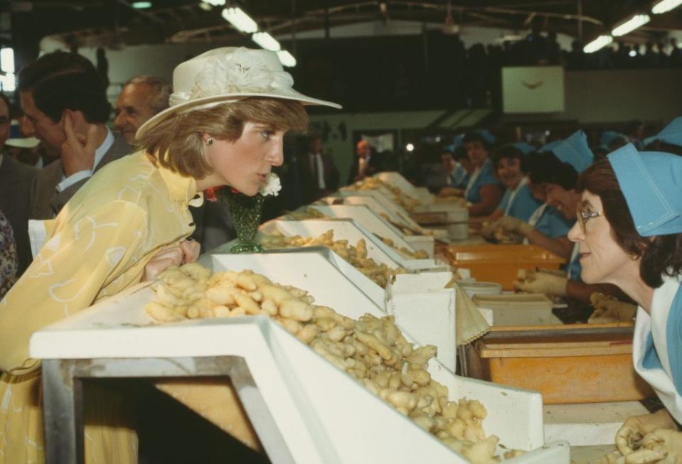 <p>Diana speaks to an employee at the Ginger Factory in Yandina, Queensland, Australia.<br></p>