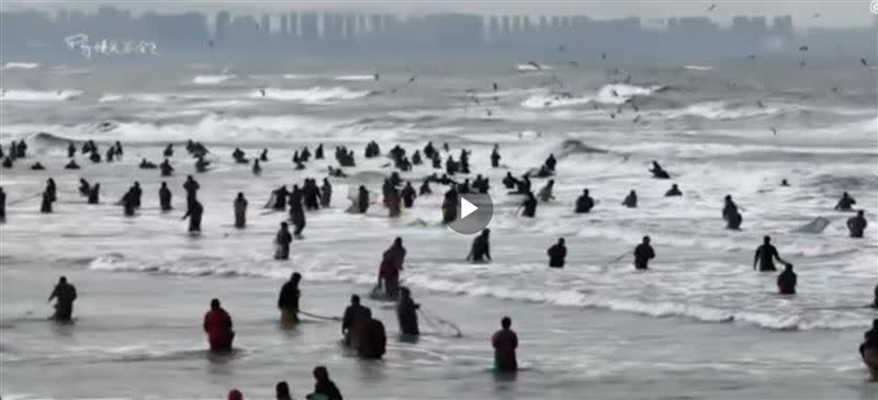 煙台海邊近日出現大批民眾趕海撿拾。（圖／翻攝自微博）