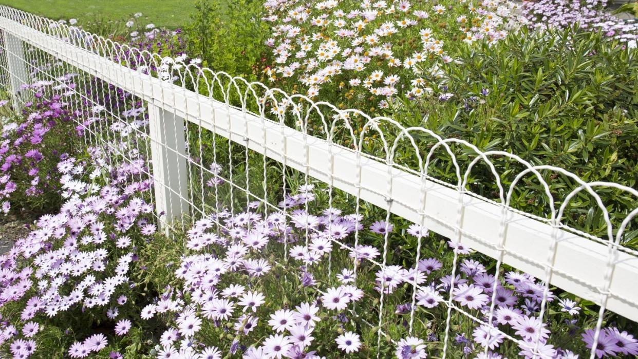 garden fence ideas