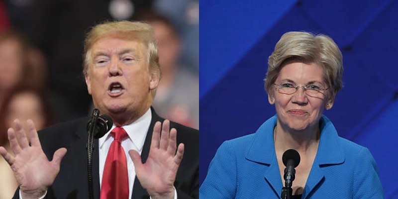 Donald Trump Elizabeth Warren