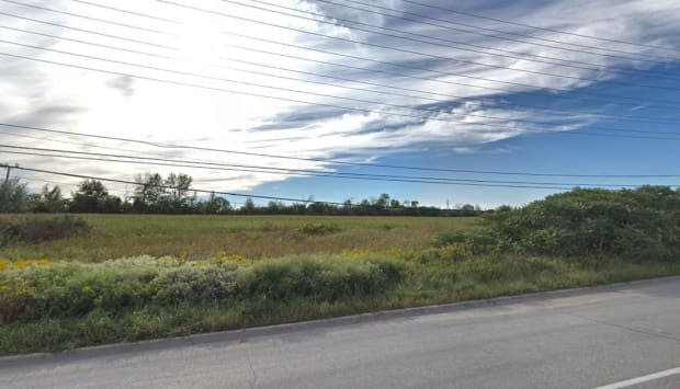 A view of the section of Pickering wetland that would be the site of a distribution and production facility. (Google Maps - image credit)