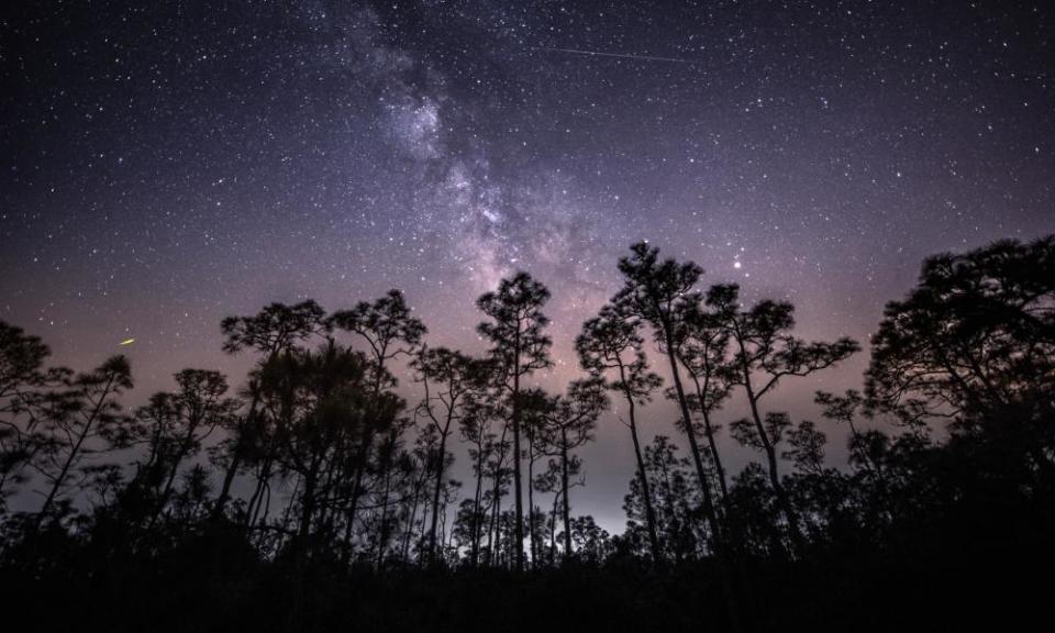 The Eta Aquarid meteor shower at the Babcock Wildlife Refuge, Florida.