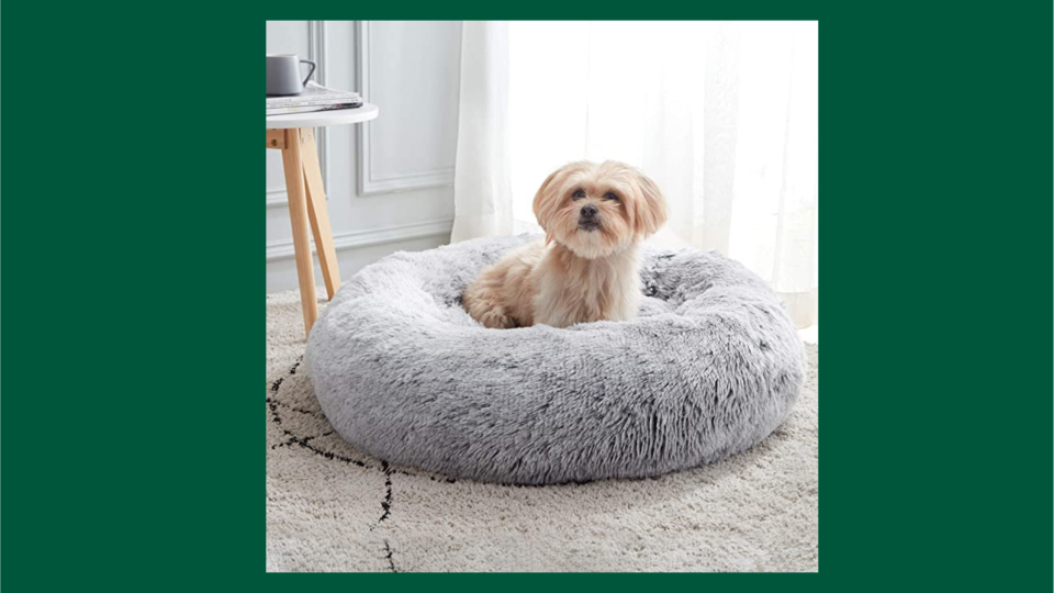 cozy gifts: dog bed