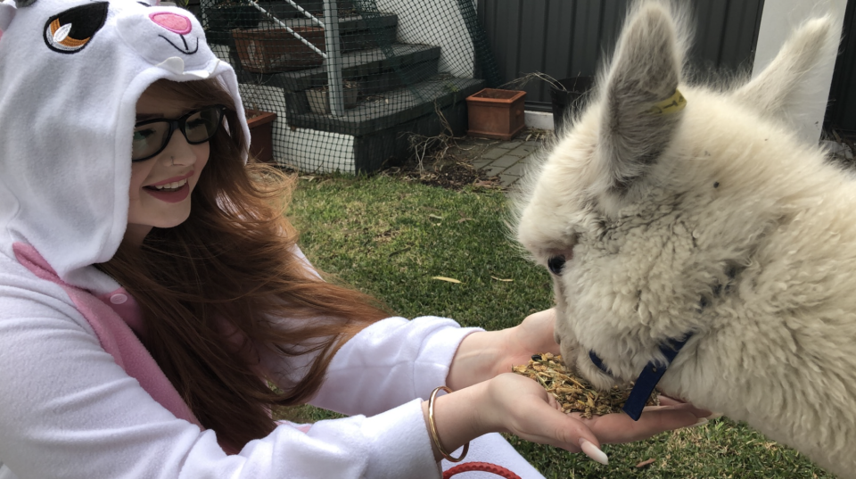 Rosie Renee wears a rabbit suit and sits to feed an alpaca from her hands.