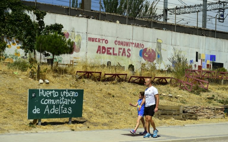 People walk past an urban community garden in Madrid, on June 17, 2015