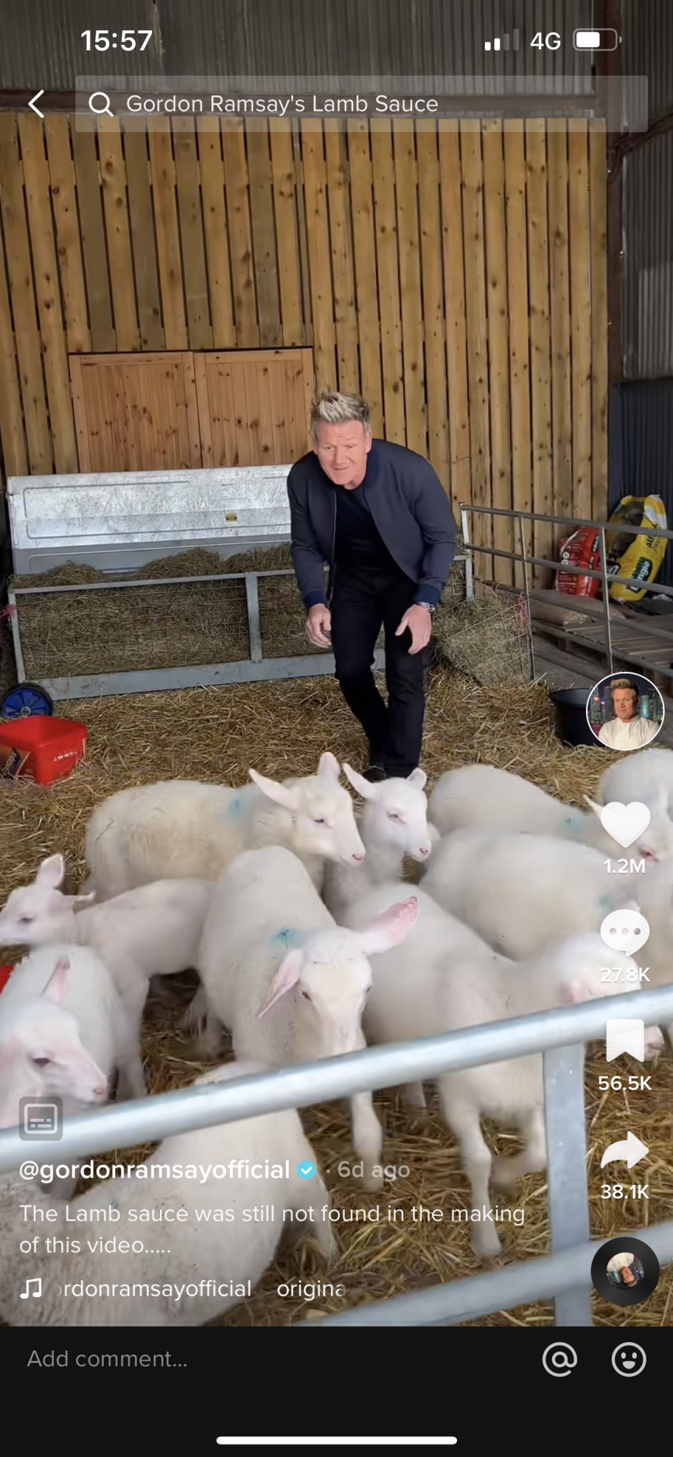 The celebrity chef also faced backlash recently after jumping into a lamb enclosure and asking which of the flock was ‘ going in the oven first?’ (TikTok/ Gordon Ramsay)