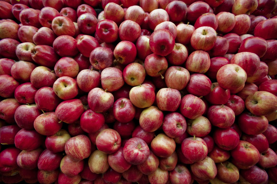 In einem dunklen Kellerraum bleiben Äpfel lange haltbar (Symbolbild: Getty Images)