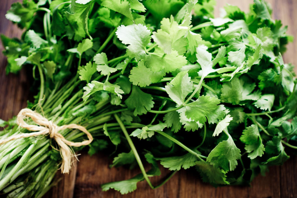 A bunch of coriander (also known as cilantro, depending on your location). (Photo: MmeEmil via Getty Images)