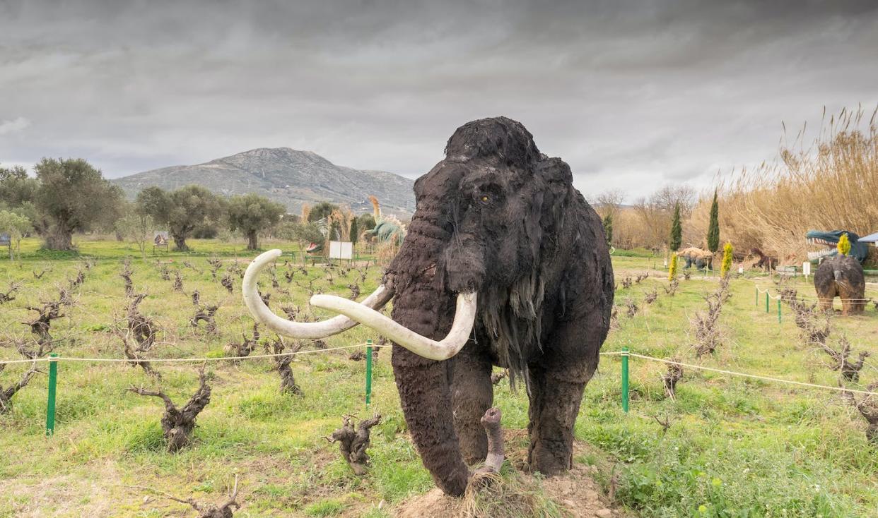 Recreación de un mamut en primer plano y dinosaurios al fondo, en el parque de dinosaurios de Atenas (Grecia). <a href="https://www.shutterstock.com/es/image-photo/athens-greece-17-january-2016-mammoth-367150484" rel="nofollow noopener" target="_blank" data-ylk="slk:Shutterstock / Bill Anastasiou;elm:context_link;itc:0;sec:content-canvas" class="link ">Shutterstock / Bill Anastasiou</a>