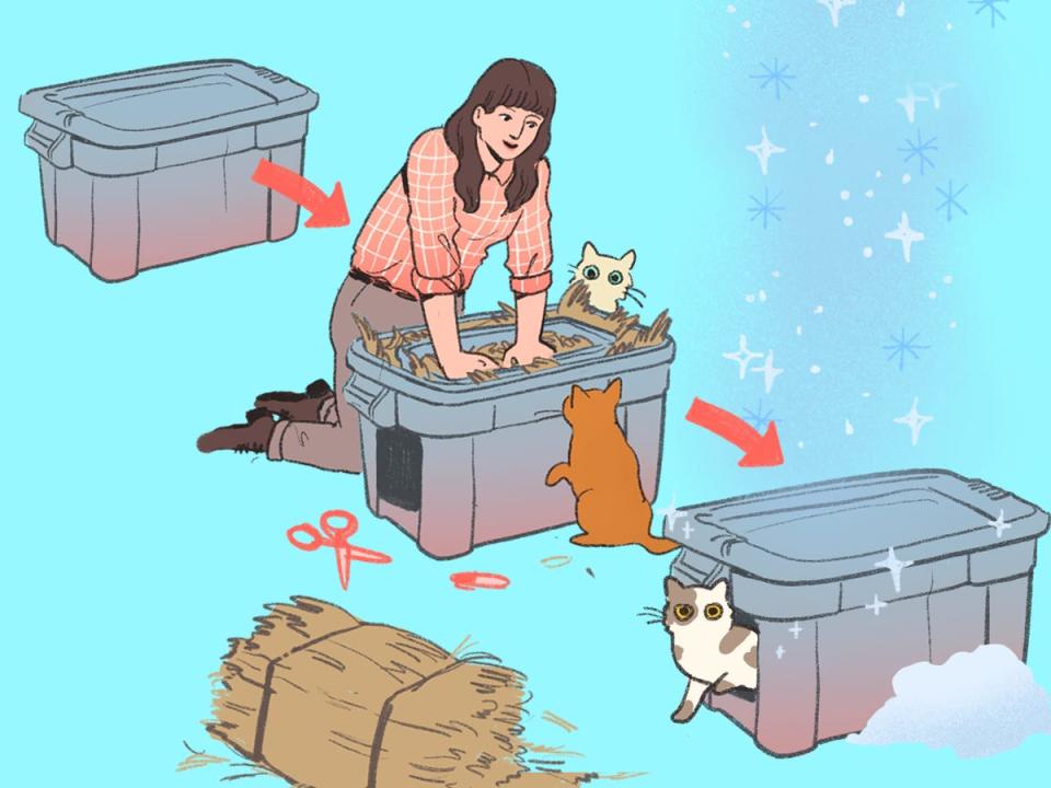 A step-by-step illustrated guide to building an outdoor cat house out of a large box. On the left, there is a large box. In the middle, a woman stuffs an open box with hay. There is now a hole in the front of the box. On the right, a cat peers out of the box with the hole in it. Snow falls on the box.