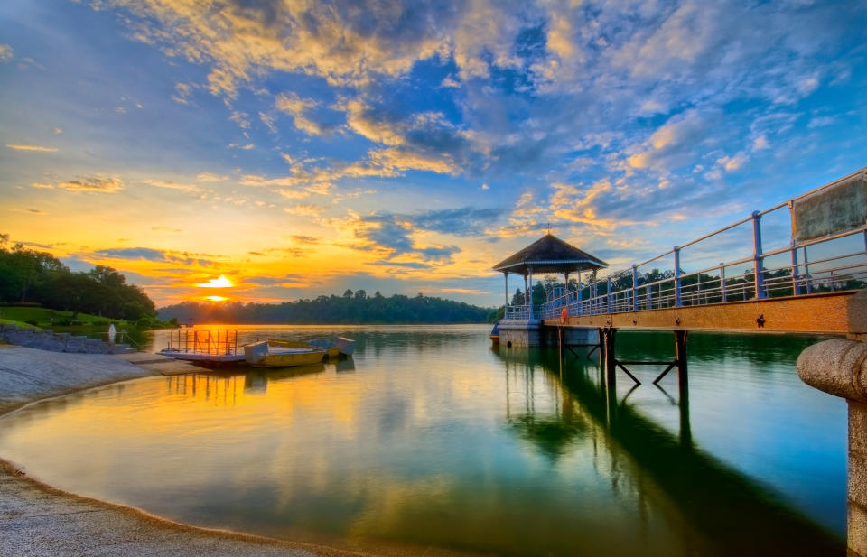 Nick recalls taking long walks with his father around the <a href="https://www.nparks.gov.sg/gardens-parks-and-nature/parks-and-nature-reserves/macritchie-reservoir-park" target="_blank" rel="noopener noreferrer">MacRitchie Reservoir</a> at dusk while growing up.