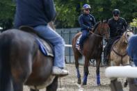 Kentucky Derby and Preakness Stakes winner American Pharoah leaves the track following his morning workout at Belmont Park in Elmont, New York June 3, 2015. REUTERS/Shannon Stapleton