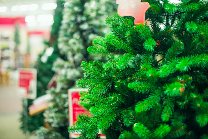 Jan 19 2022 And Christmas Tree And Sweet Home Oregon Which Is More Environmentally Friendly - A Plastic Christmas Tree Or A Real  One?