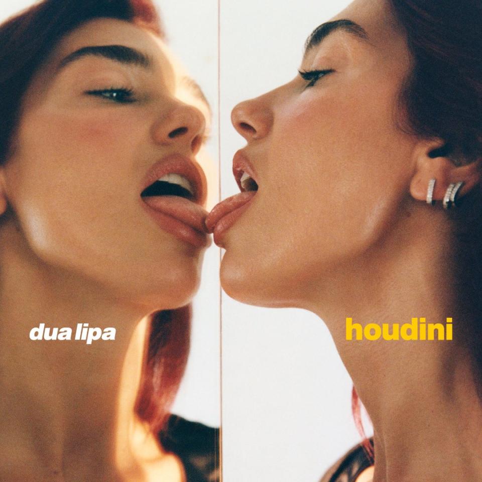 Dua Lipa's artwork for "Hudini"