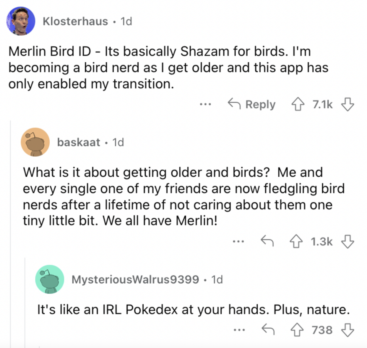 Reddit screenshot about an app that is like Shazam for birds.