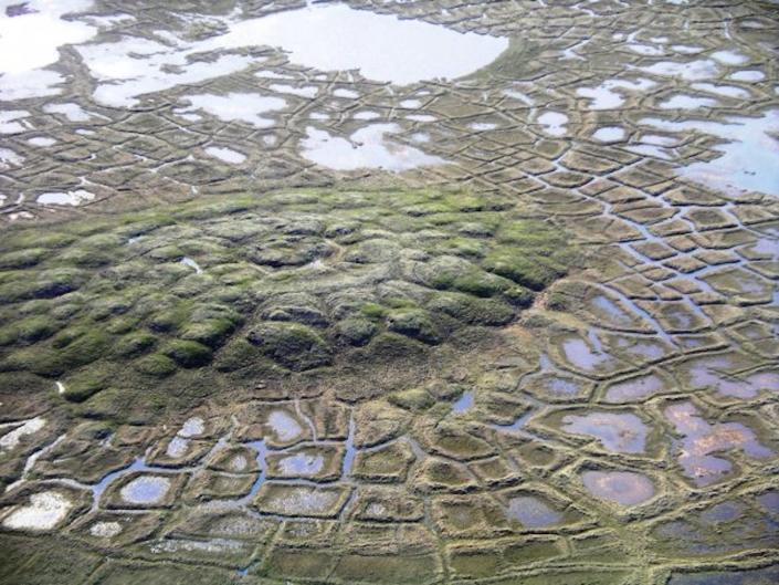 Thawing pingo and polygons – a mound and depressions formed by ice wedges – in the Northwest Territories, Canada. <a href="https://commons.wikimedia.org/wiki/File:Melting_pingo_wedge_ice.jpg" rel="nofollow noopener" target="_blank" data-ylk="slk:Emma Pike /Wikimedia" class="link ">Emma Pike /Wikimedia</a>
