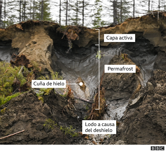 Què es el permafrost