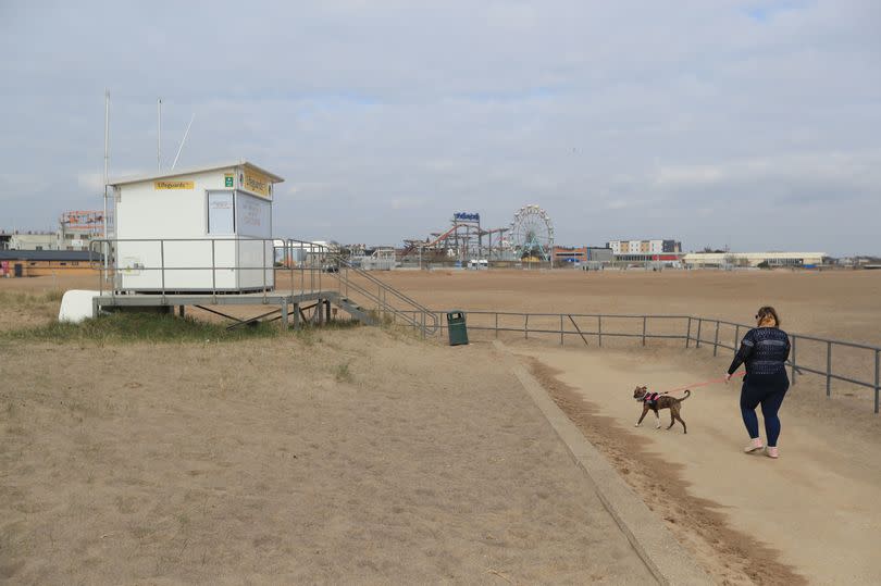 Dog at Skegness Beach