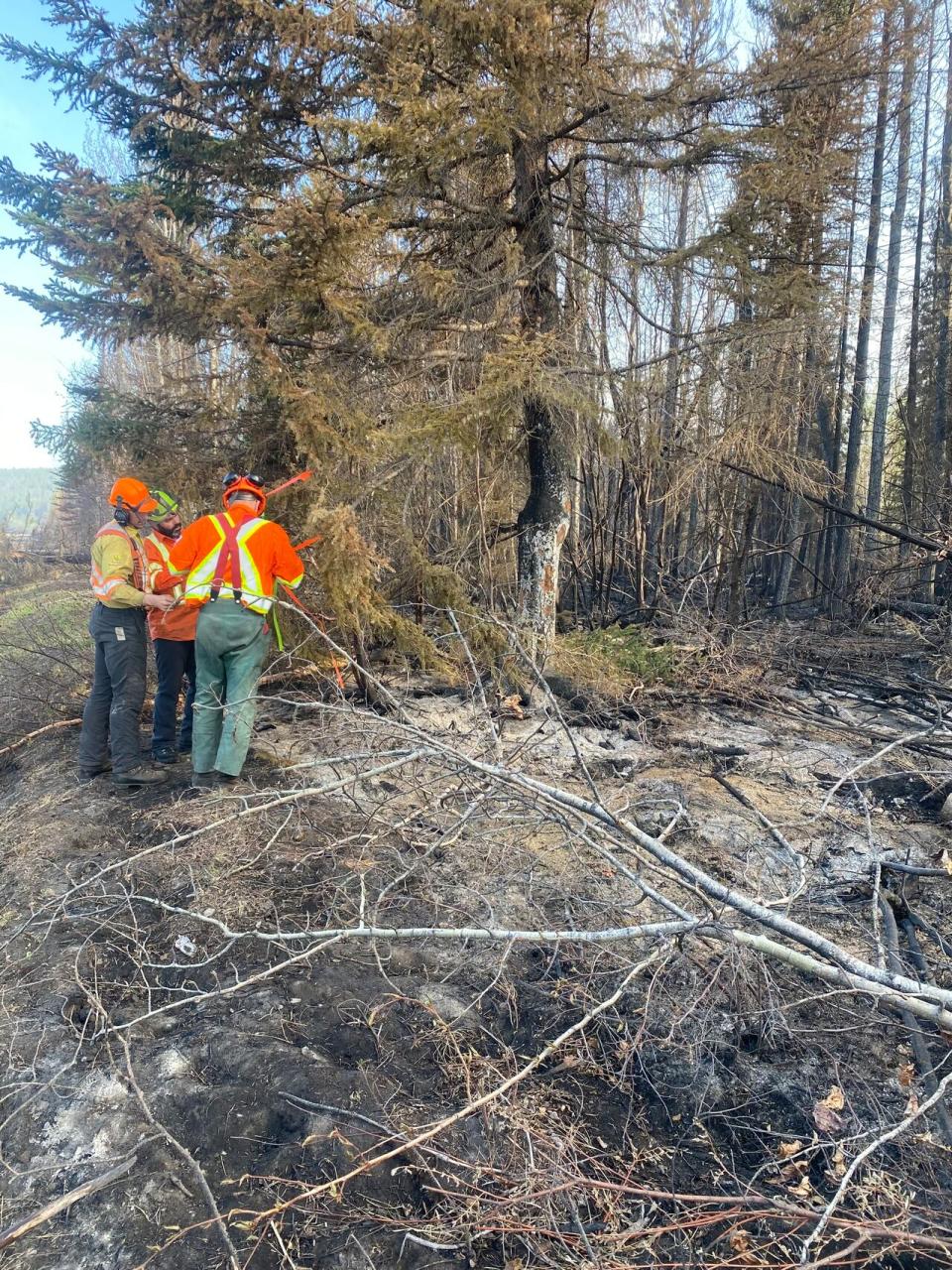 B.C. wildfire fighters assess trees that are at danger of falling as they work to contain the Parker Lake wildfire near Fort Nelson on May 19.