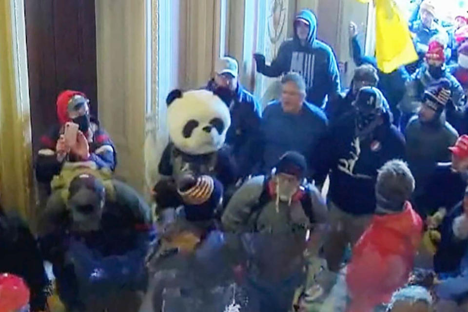 rioter sedetion capitol riot (Obtained by NBC News)