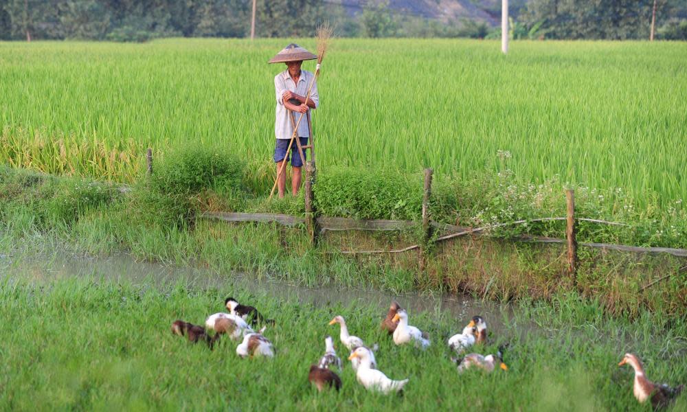 A farmer in Hunan province