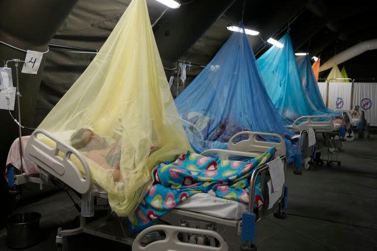 Los pacientes que padecen dengue yacen en camas ubicadas en tiendas de campaña provisionales en el Ministerio de Salud en Piura, Perú
(AP Foto/Martín Mejía)