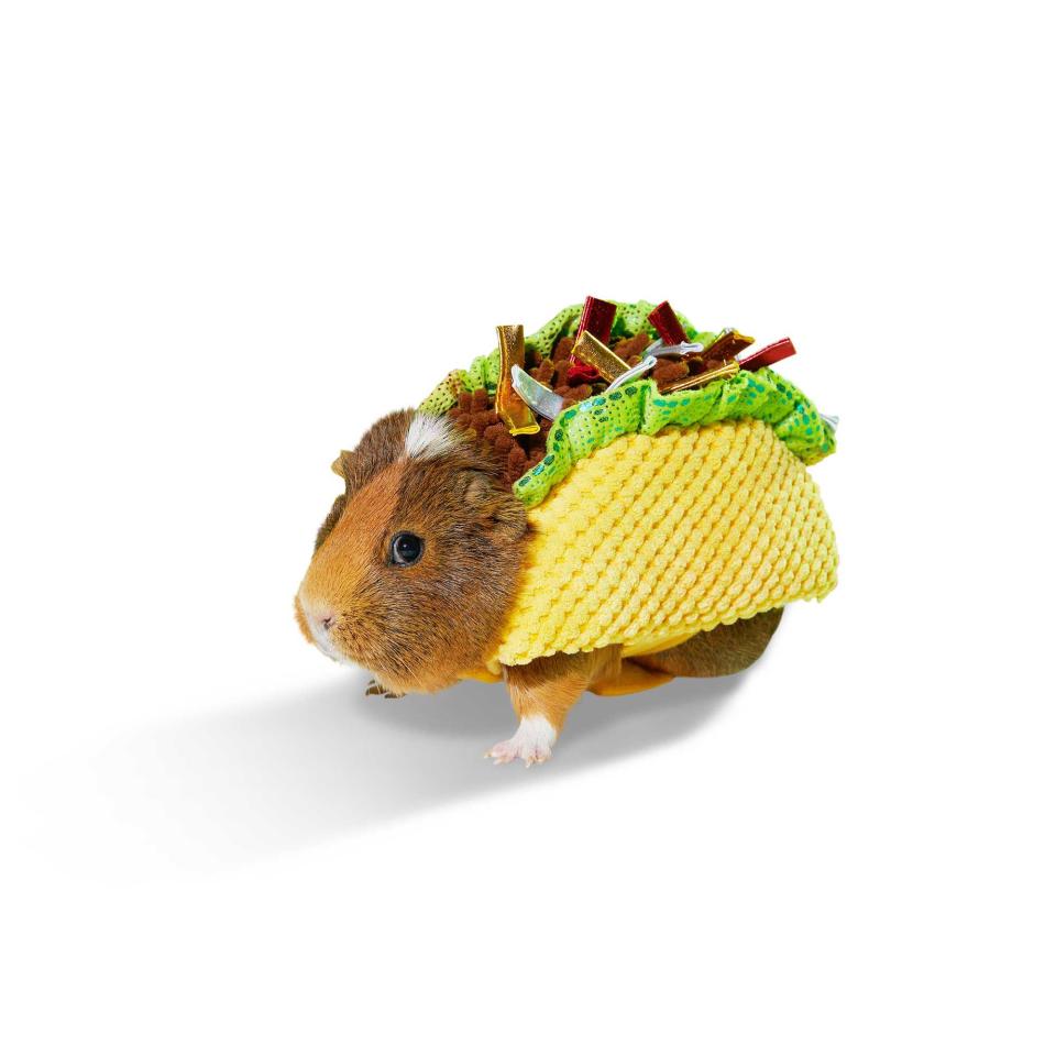 Taco Guinea Pig Costume