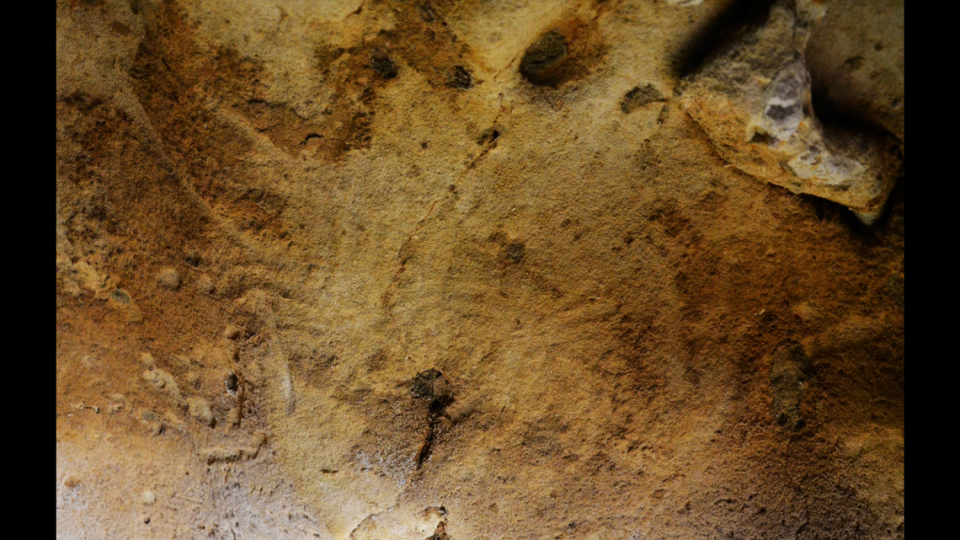 Experts determined that the finger markings moved in various directions along the walls. O. Spaey and G. Alain