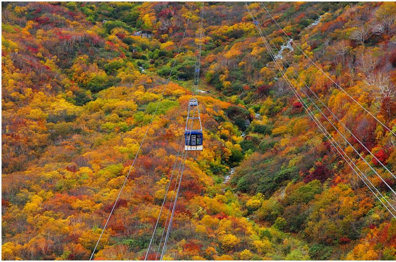 日本立山黑部阿爾卑斯山脈路線