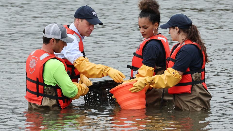 the prince of wales visits billion oyster project in new york city