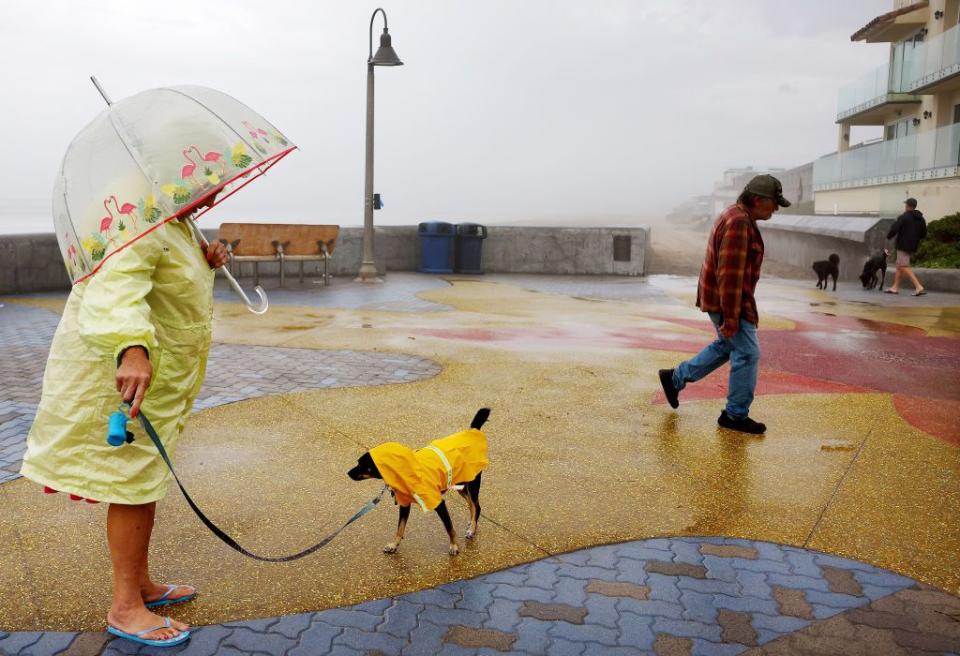 A person and dog wear raincoats as they stand near the Pacific Ocean in Imperial Beach, California.