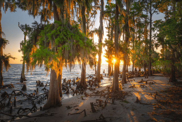 <p>Explore Louisiana</p>