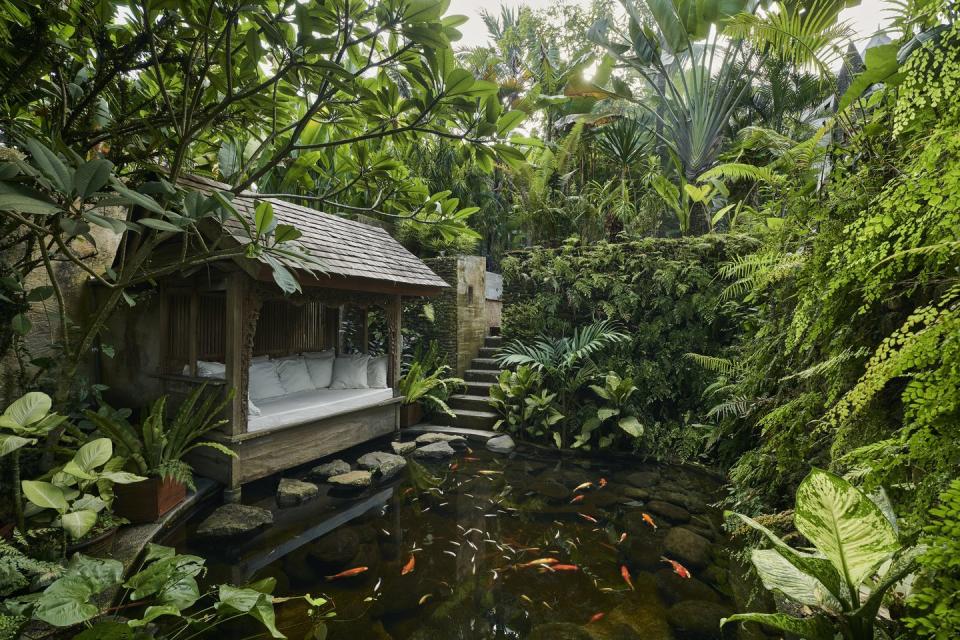 pond with koi carp with traditional wooden pergola seating area, situated at luxury resort