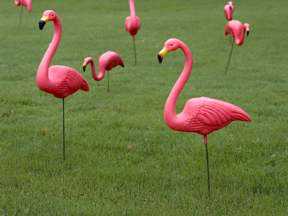 Plastic pink flamingos of various sizes displayed on grass