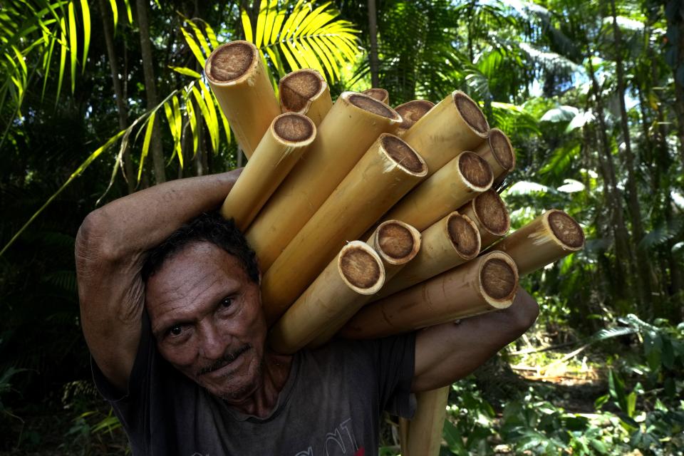 FILE - Raimundo Brazao dos Santos transports acai palm hearts collected for sale in an island in the Bailique Archipelago, district of Macapa, state of Amapa, northern Brazil, Sept. 10, 2022. The two-day Amazon Summit opens Tuesday, Aug. 8, 2023, in Belem, where Brazil hosts policymakers and others to discuss how to tackle the immense challenges of protecting the Amazon and stemming the worst of climate change. (AP Photo/Eraldo Peres, File)