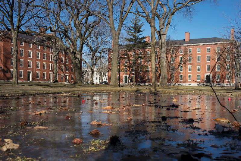 FILE PHOTO: Buildings in Harvard Yard are reflected in frozen puddle at Harvard University in Cambridge