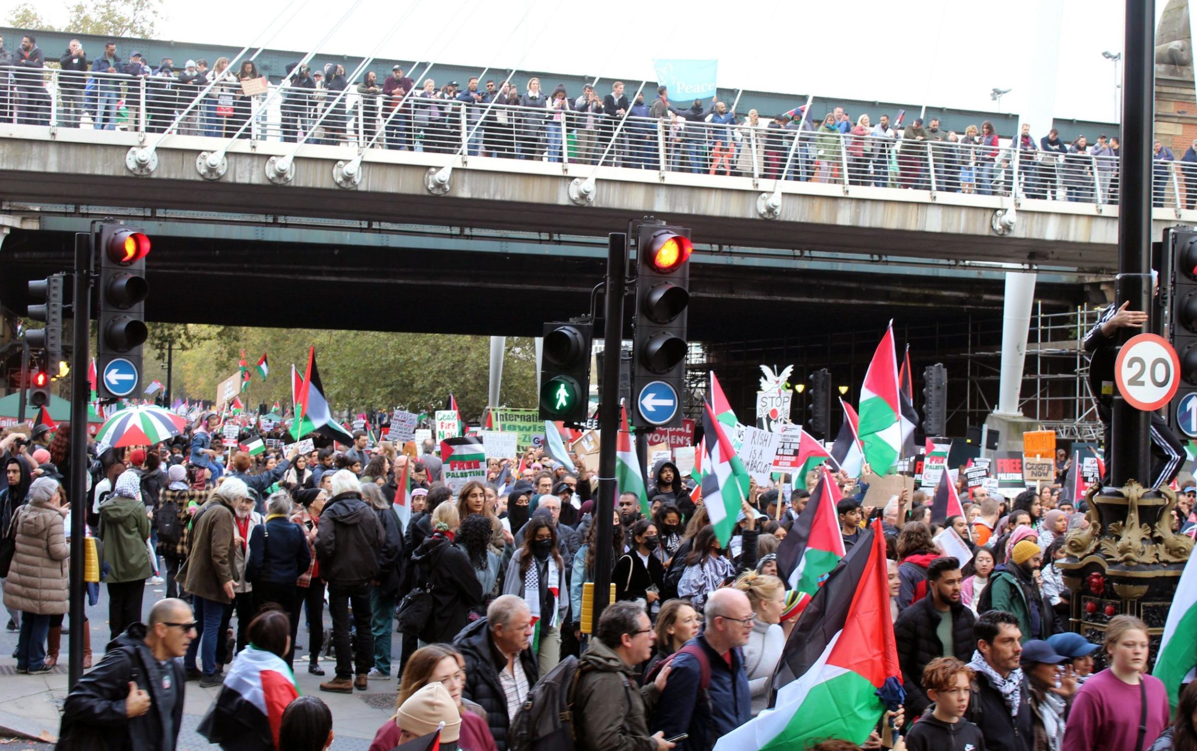 Pro-Palestine rally