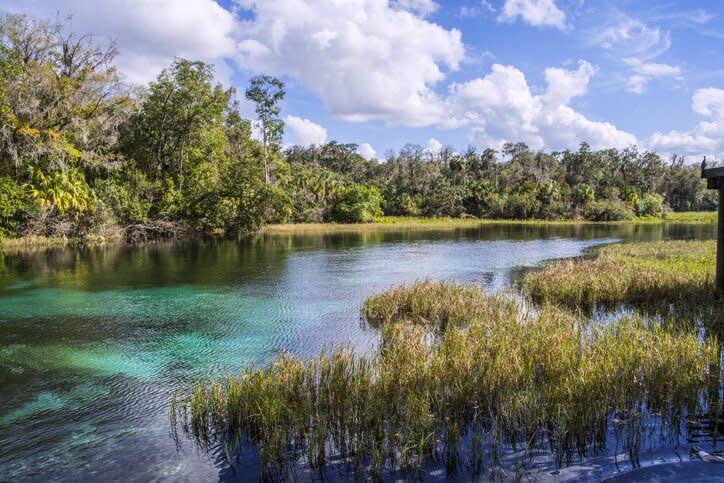 rainbow springs in florida