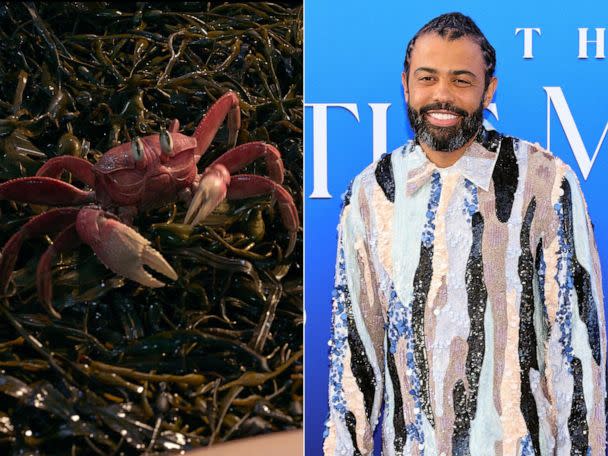 PHOTO: Daveed Diggs as Sebastian in “The Little Mermaid.” (Disney | The Hollywood Reporter via Getty Images)