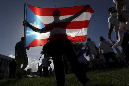 A protester holding a Puerto Rico's flag takes part in a march to improve healthcare benefits in San Juan, Puerto Rico, November 5, 2015. REUTERS/Alvin Baez