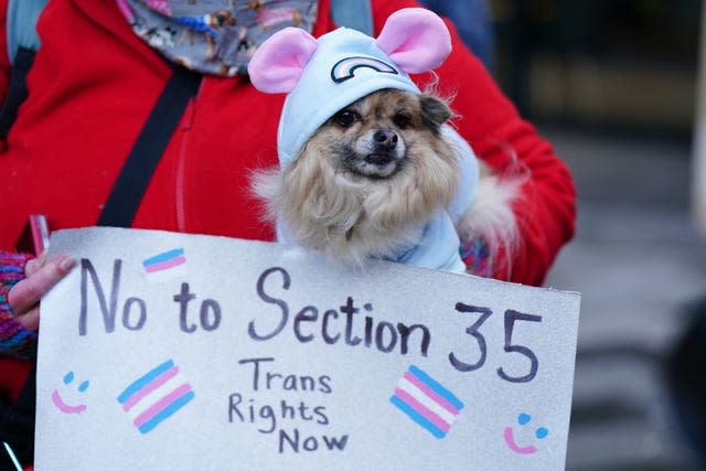 A dog next to a sign saying 'No to Section 35'