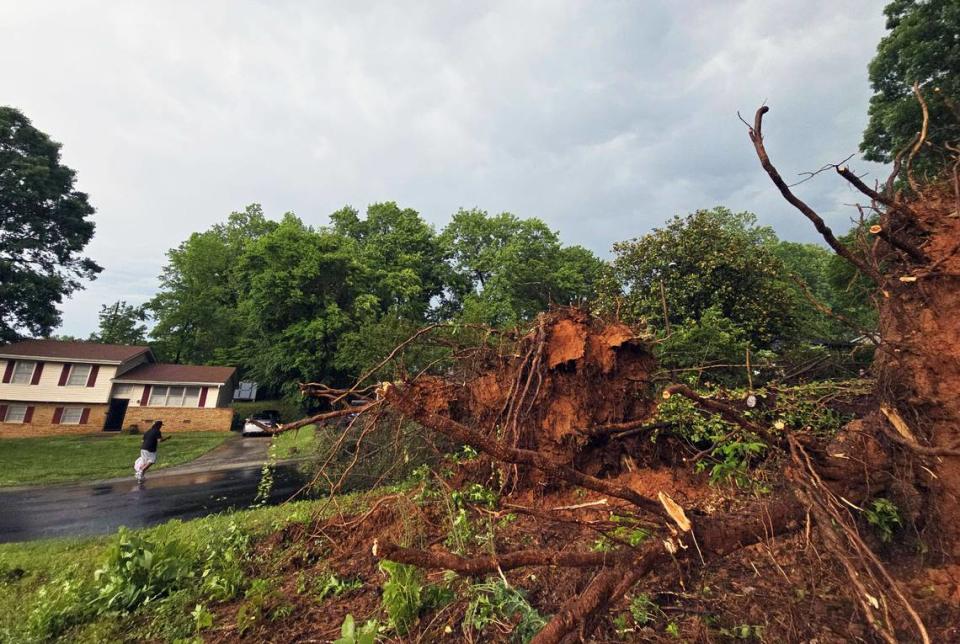 An uprooted tree is seen on Northbrook Drive in Charlotte Wednesday afternoon, May 8, 2024. Severe storms with potentially damaging straight-line winds pummeled the Charlotte region on Wednesday, with a chance of hail “larger than golf balls,” according to the National Weather Service. Khadejeh Nikouyeh/knikouyeh@charlotteobserver.com