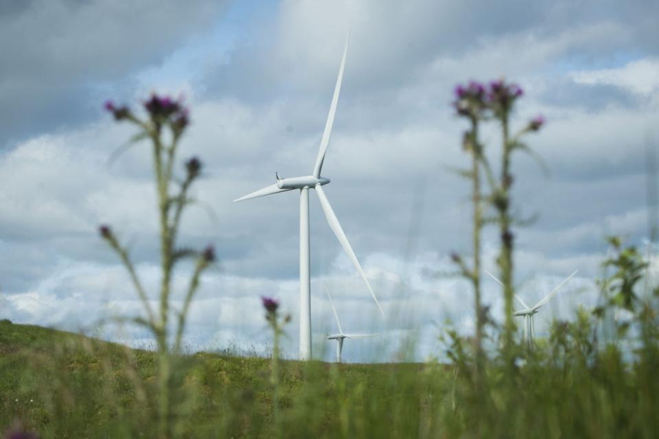 The Government is set to reveal several new green energy policies and decarbonisation commitments (Danny Lawson/PA Wire)