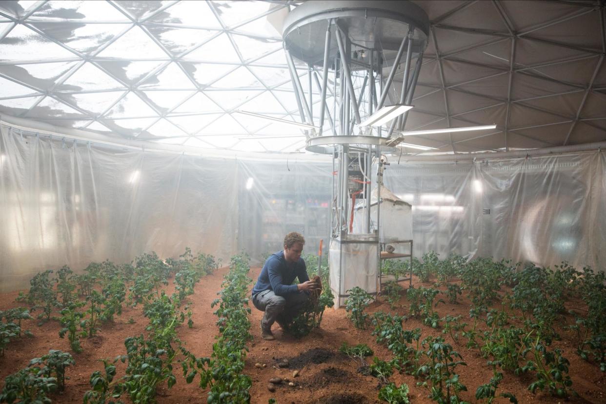 <span>Matt Damon cultivating potatoes in Ridley Scott’s The Martian.</span><span>Photograph: 20th Century Fox/Allstar</span>