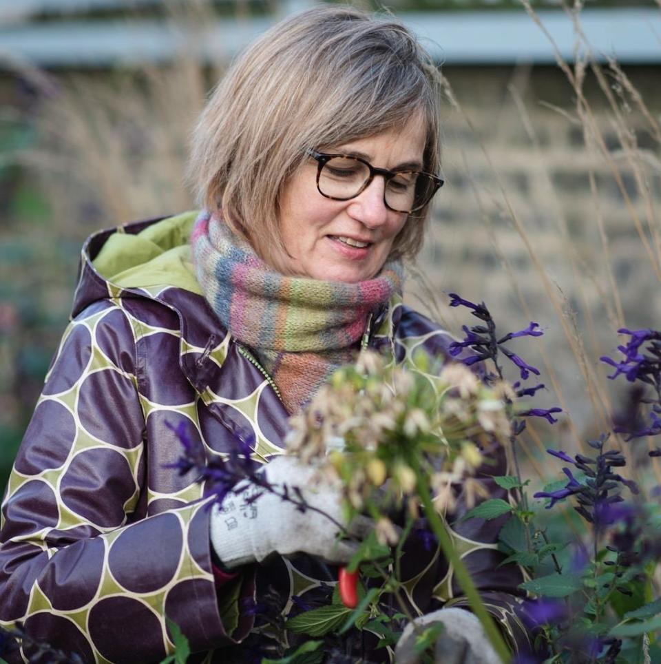 Garden designer Catherine Clancy trod the line between a wild, colourful planting style and easy maintenance - Catherine Clancy