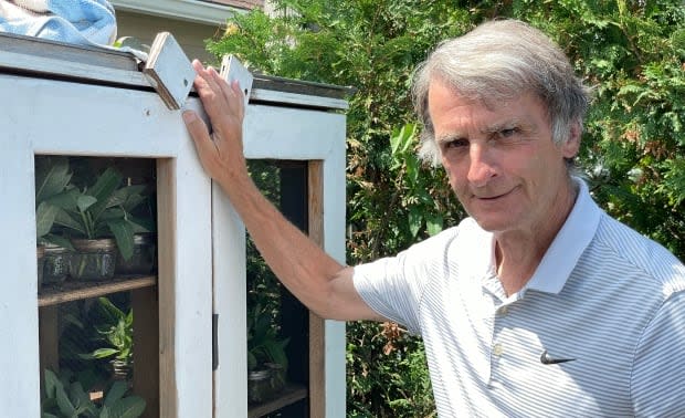 Roger Giraldeau has set up a Monarch nursery in his backyard, where he feeds and nurtures eggs through their metamorphosis. (Sarah Leavitt/CBC - image credit)