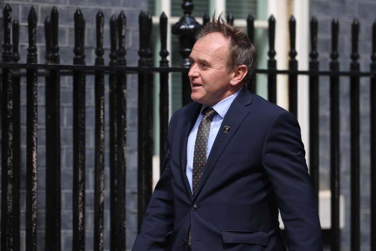 George Eustice (James Manning/PA) (PA Archive)