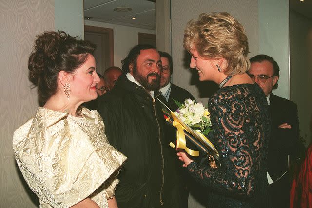 <p>Alamy</p> Princess Diana at the fundraising concert in Cardiff