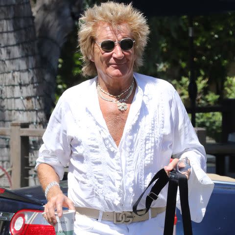 <p>TheImageDirect.com</p> Rod Stewart